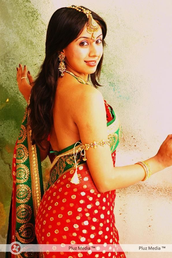 Sanjana Galrani In Saree Diwali Look - Stills | Picture 110827